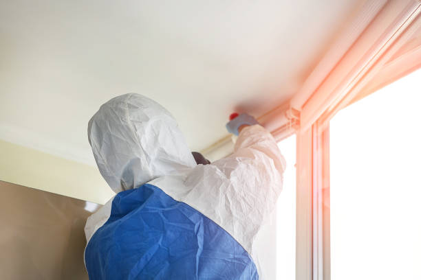  , USA Mold Removal Pros