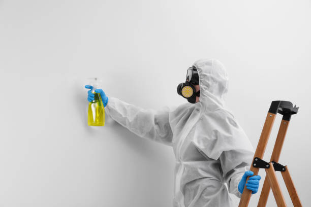 Best Mold Prevention Services in USA